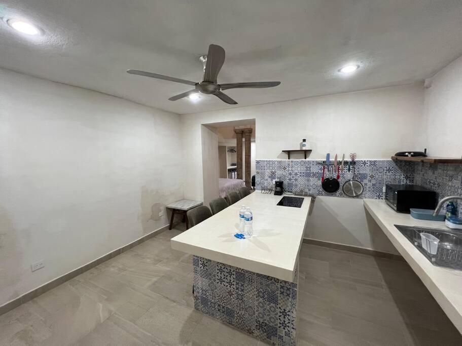梅里达Departamento Barrio De Santiago公寓 外观 照片